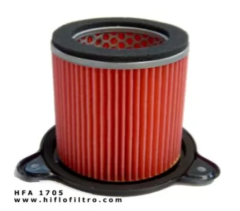Фільтр повітряний HIFLO FILTRO HFA1705 (7020)