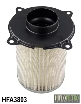 Фільтр повітряний HIFLO FILTRO HFA3803 (7095)