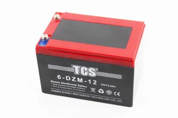 Аккумулятор 6DZM-12Q - 12V12Ah (L150*W101*H99mm) для ИБП, игрушек и др. TCS (38678)