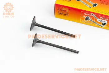 Loncin LX250GY-3 - Клапана впускний + випускний (27 / 31,5мм) JINLONGLIAN (74453)