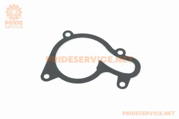 Kovi Advance NB300-F - Прокладка кришки помпи (78927)