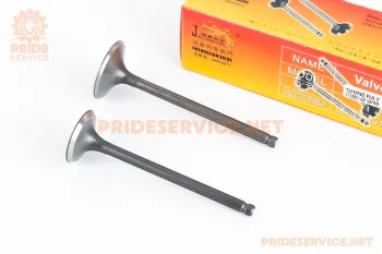 Shineray XY250GY-6B - Клапана выпускной (H-89,3; D-27), впускной (H-91; D-31,5) к-кт 2шт 169FMM JINLONGLIAN (85420)