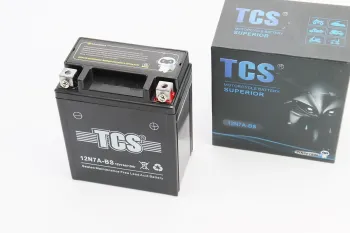 Аккумулятор 7Аh МОТО 12N7A-BS гелевый (L113*W70*H132mm) TCS (38685)