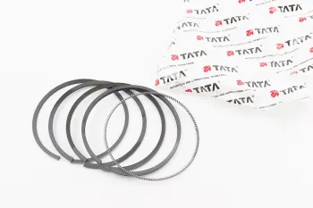 R195N - Кольца поршневые 95мм STD TATA (49633)
