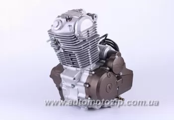 Двигун в зборі СВ 200СС (Minsk/Viper 200j) TATA AGRO-MOTO (39186)