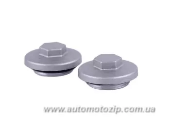 Active/Delta/Alpha - Кришка-заглушка на головку TATA AGRO-MOTO (39595)