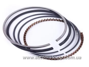 ACTIVE/ALPHA 125CC - Кольца поршневые 54mm STD TATA AGRO-MOTO (39846)