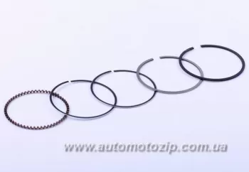 DELTA/ALPHA - Кольца поршневые 50,0 mm STD 100СС (39979)