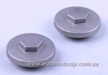 Delta/Alpha - Крышки клапанов головки (2шт) TATA AGRO-MOTO (39992)