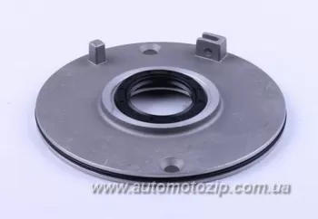 Delta/Alpha - Пластина зчеплення в комплекті (40012)