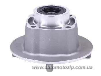 125J - Демпфер заднего колеса + подшипник СВ-125/150 (Y-BOX) TATA AGRO-MOTO (44158)