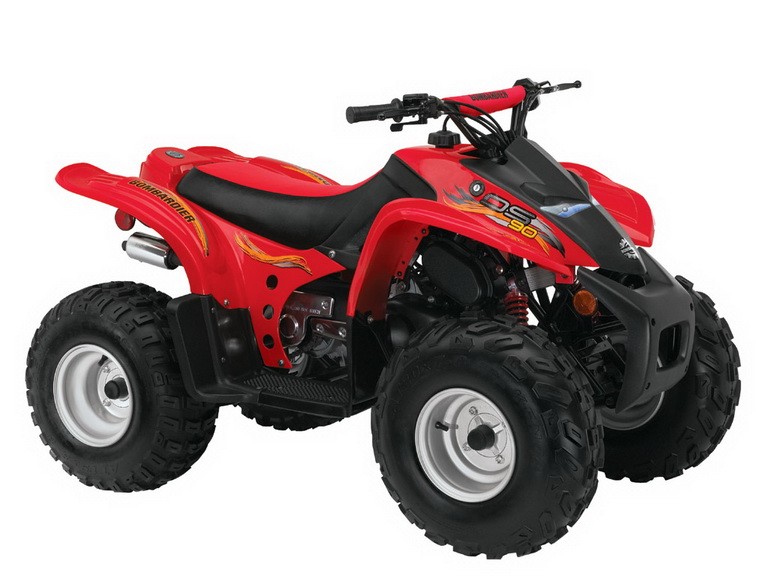 BOMBARDIER / CAN-AM DS